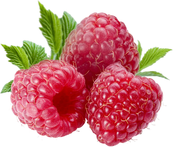 raspberry